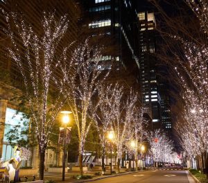 Cadde Işık Süsleme