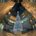 Ağaç Işık Süsleme