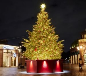 Yılbaşı Çam Ağacı Işık Süsleme